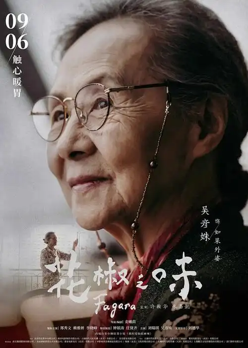 风与少年动漫海报